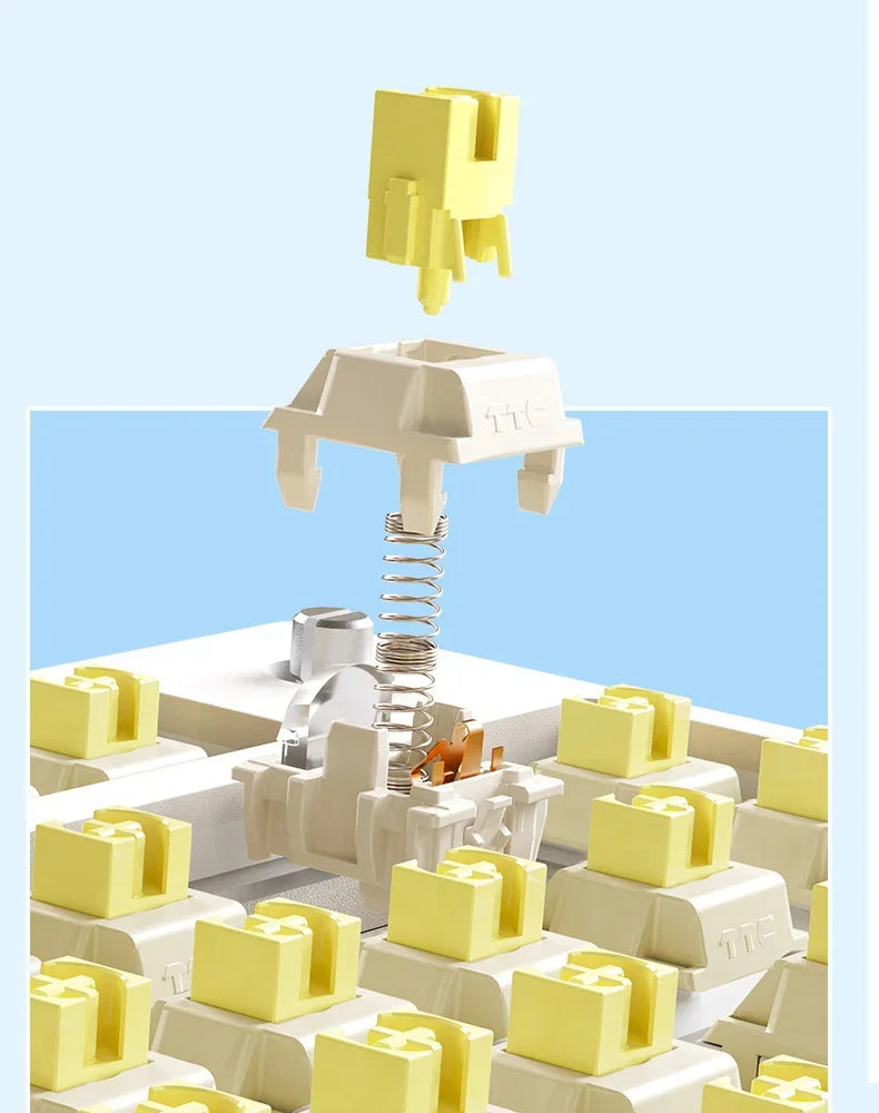 AULA F75 2.4G Wireless/Bluetooth/Wired Gaming Mechanical Keyboard RGB Customized 75% Layout Cherry Profile Gasket Structure - Evallys.com