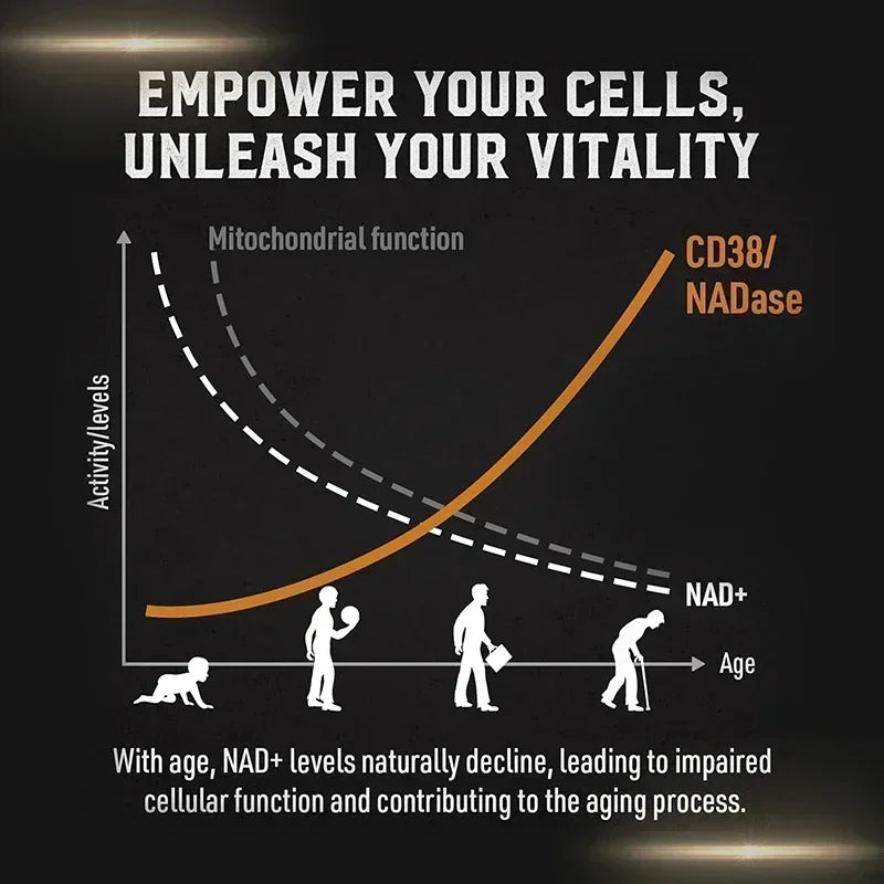 Liposomal NAD Supplement – Boost Energy, Immunity & Cellular Repair