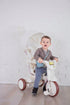 iimo 3-in-1 Foldable Tricycle with Canopy - Evallys.com # #