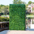 Artificial Ligustrum Ficus Freestanding Hedge (3 Sizes) UV Resistant - Evallys.com # #