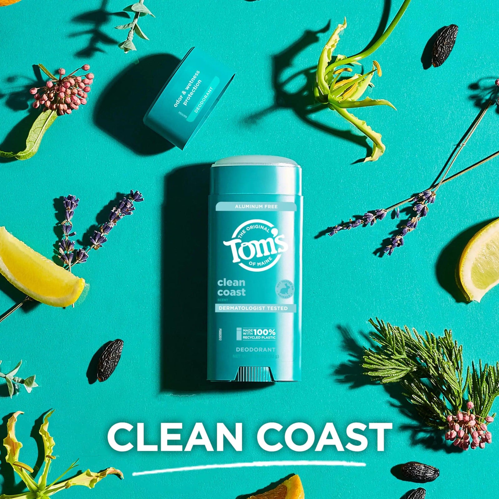 Tom’s of Maine Clean Coast Aluminum Free Natural Deodorant For Women & Men | Goes on Clear | Odor & Wetness Protection | Naturally Derived and Moisture-Locking Ingredients | 3.25 oz 3.25 Ounce (Pack of 1) - Evallys.com # #