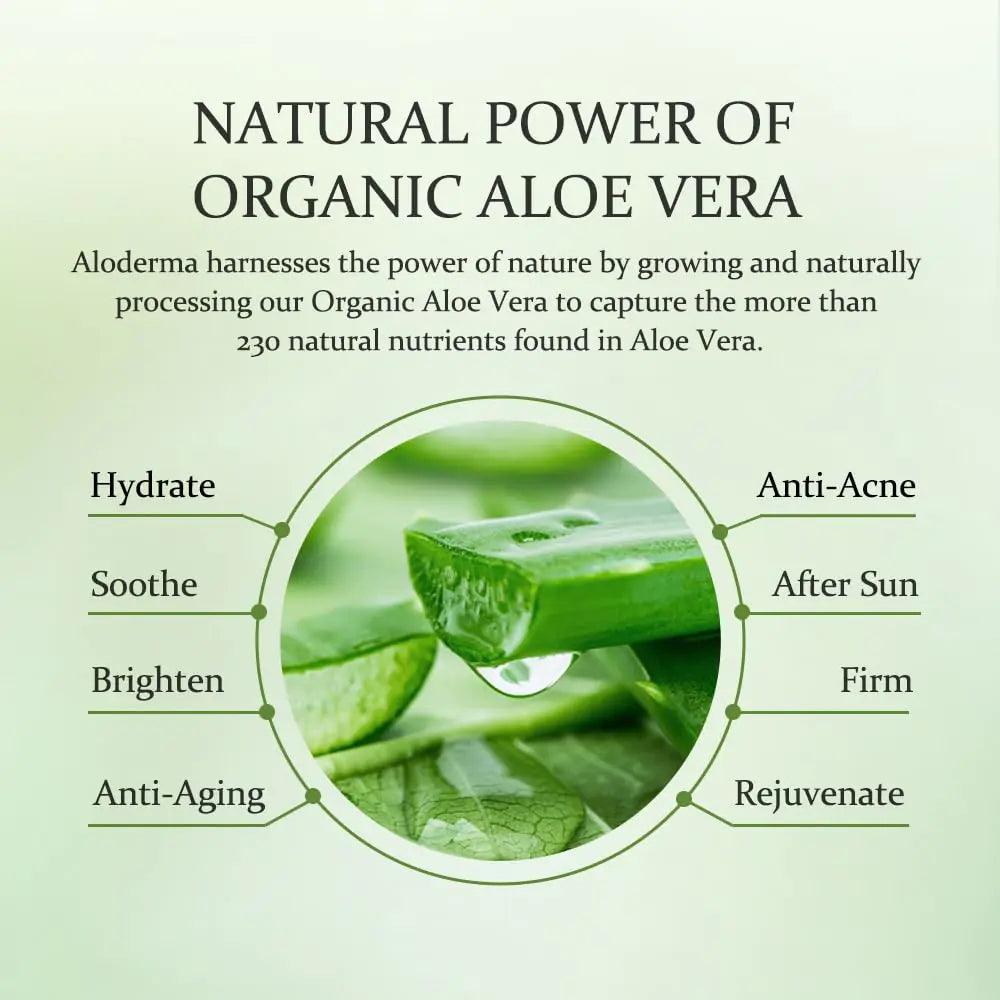 Aloderma Organic Aloe Vera Gel for Face Made within 12 Hours of Harvest, 96% Pure Aloe Vera Gel for Skin, Scalp, & Hair, Soothing Aloe Face Moisturizer, Multipurpose, Hydrating Aloe Gel, 7oz, 3-Pack - Evallys.com # #