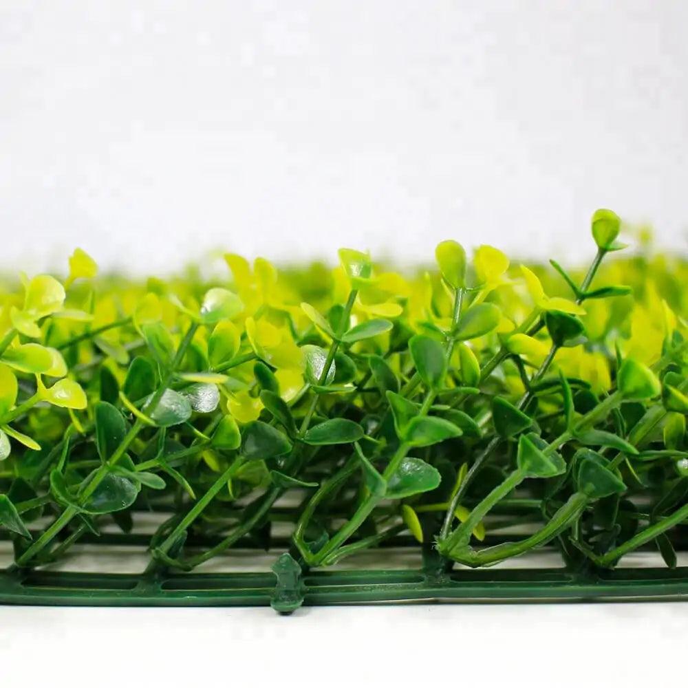 Yellow Buxus Green Wall 33 square foot UV Protected - Evallys.com # #