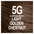 Naturtint Permanent Hair Color 5G Light Golden Chestnut (Pack of 6), Ammonia Free, Vegan, Cruelty Free, up to 100% Gray Coverage, Long Lasting Results - Evallys.com # #