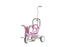 iimo x Macaron Foldable Tricycle (Limited Edition) - Evallys.com # #