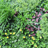 Country Fern Artificial Vertical Garden 40" x 40" 11SQ FT UV Resistant - Evallys.com