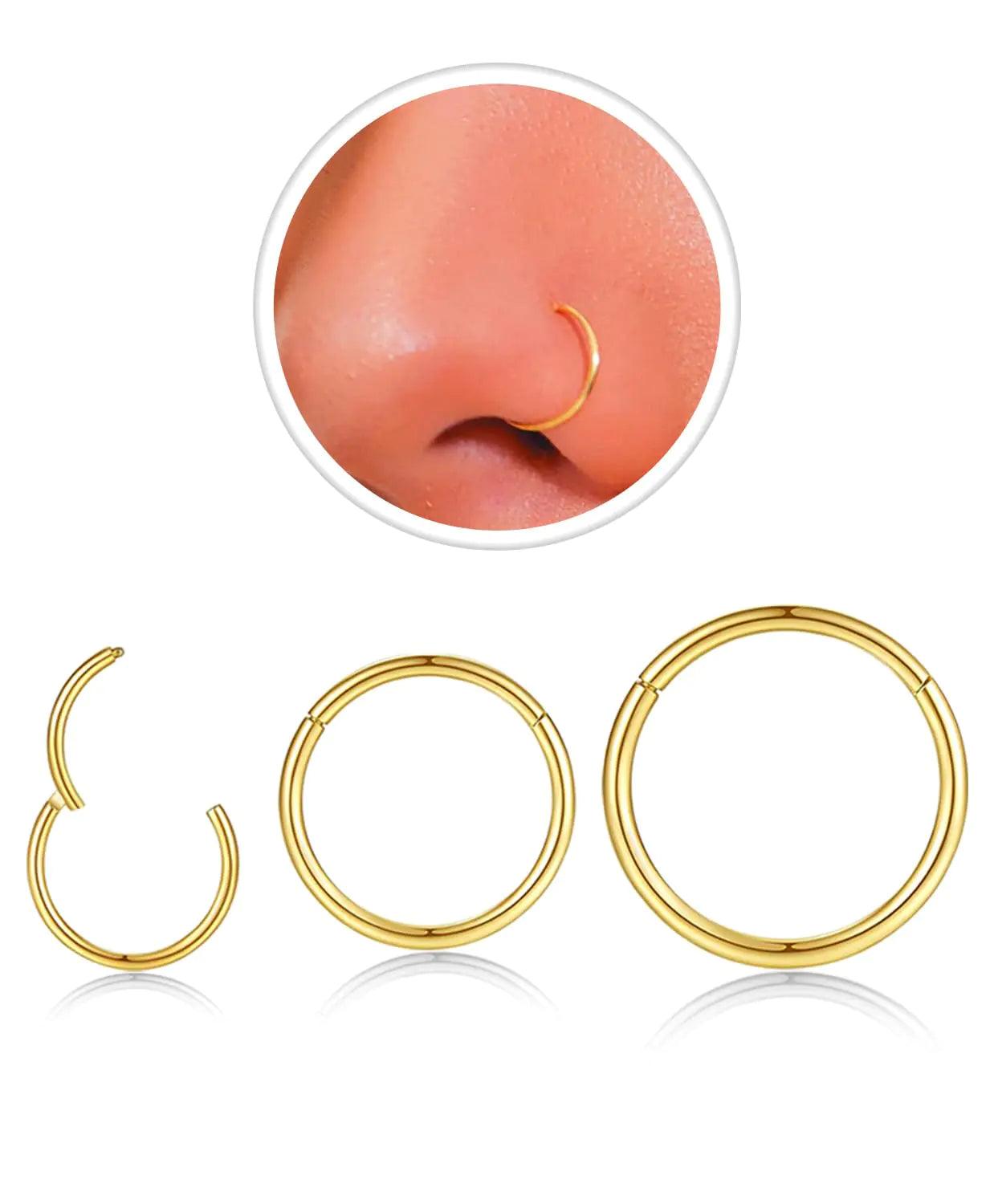 18g Nose Rings Hoop and 20g Nose Studs Sets for Women Men,Hypoallergenic 316L Surgical Stainless Steel Hinged Clicker Segment Nose Rings Hoop Helix Cartilage Daith Tragus Sleeper Earrings Silver Gold Black L Shape/Corkscrew/Straight Nose Studs Real Bod... - Evallys.com # #