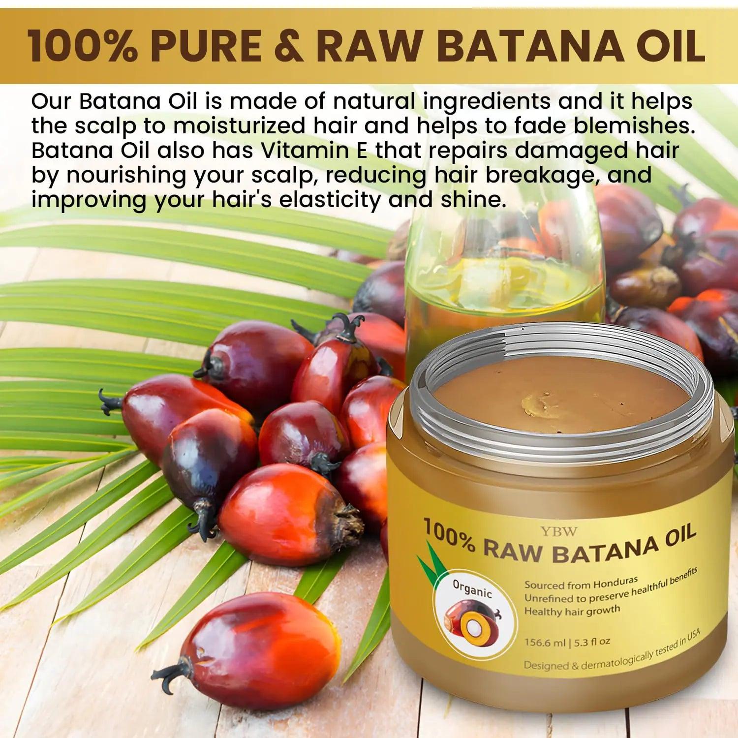 Batana Oil from Honduras - 100% Natural & Organic Dr. Sebi Hair Growth Solution for Men & Women, Unrefined, Enhances Thickness, Prevents Hair Loss - Evallys.com # #