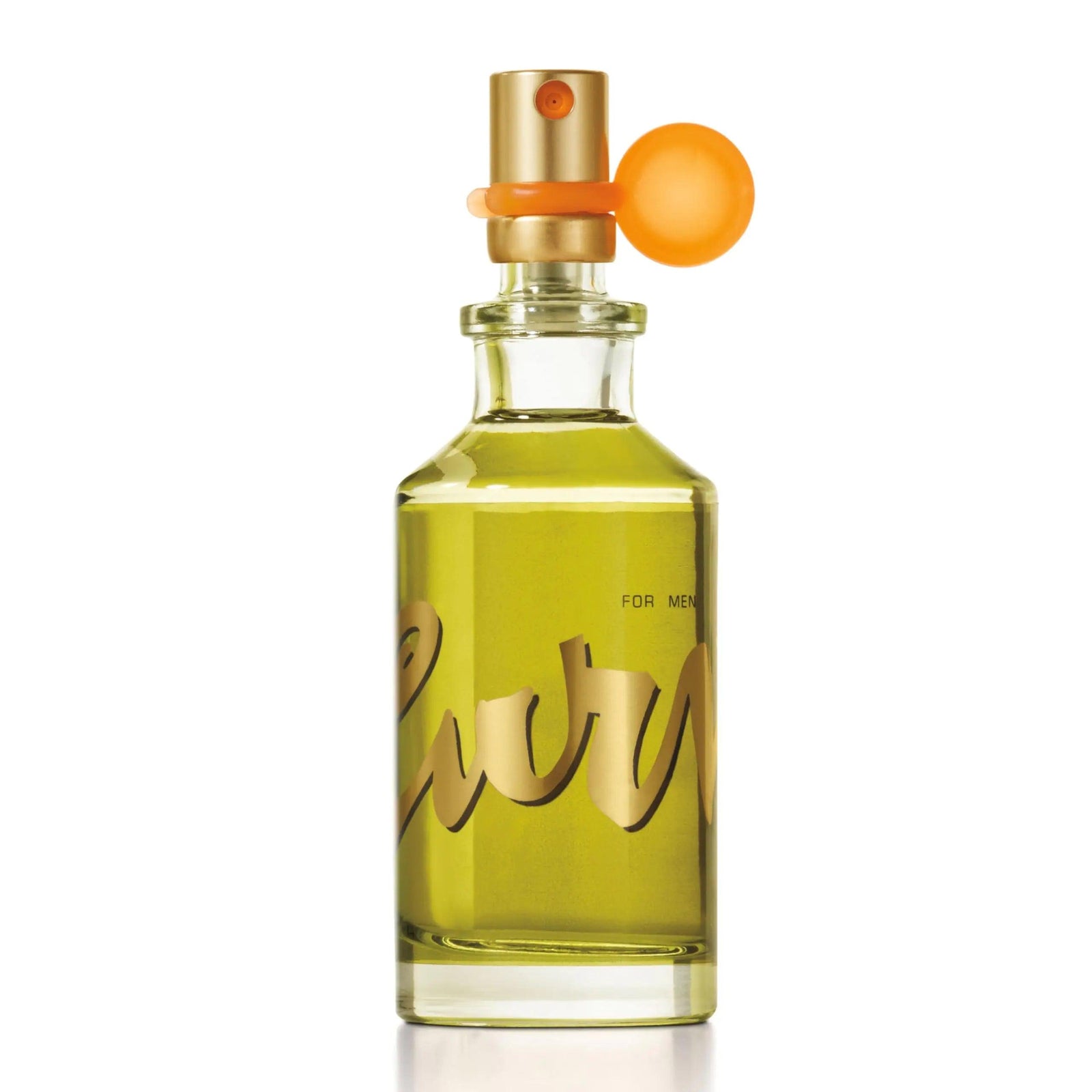 Curve for Men Cologne Spray, Spicy Woody Magnetic Scent for Day or Night, 1 Fl Oz Curve 1 Fl Oz (Pack of 1) - Evallys.com # #