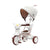 iimo 3-in-1 Foldable Tricycle with Canopy - Evallys.com