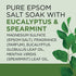 Dr Teal's Pure Epsom Salt, Relax & Relief With Eucalyptus And Spearmint, 3 lb (Pack of 4) (Packaging May Vary) - Evallys.com # #