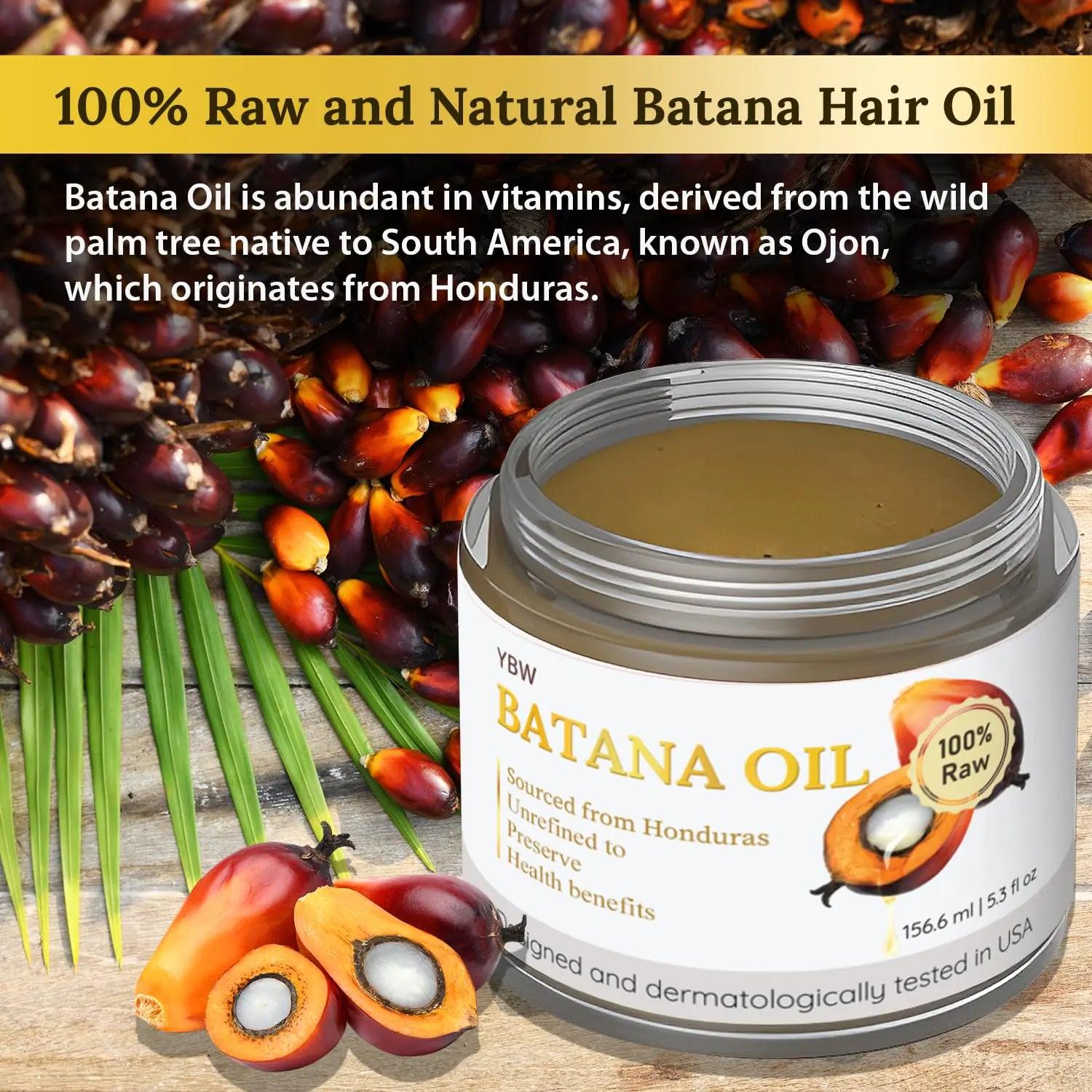 Dr. Sebi 100% Natural, Unrefined and Organic Batana Oil from Honduras for Hair Growth - Enhances Hair Thickness, Prevents Loss for Men & Women - Evallys.com # #