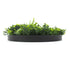 Artificial Green Wall Disc 20" Black Frame UV Resistant - Evallys.com # #