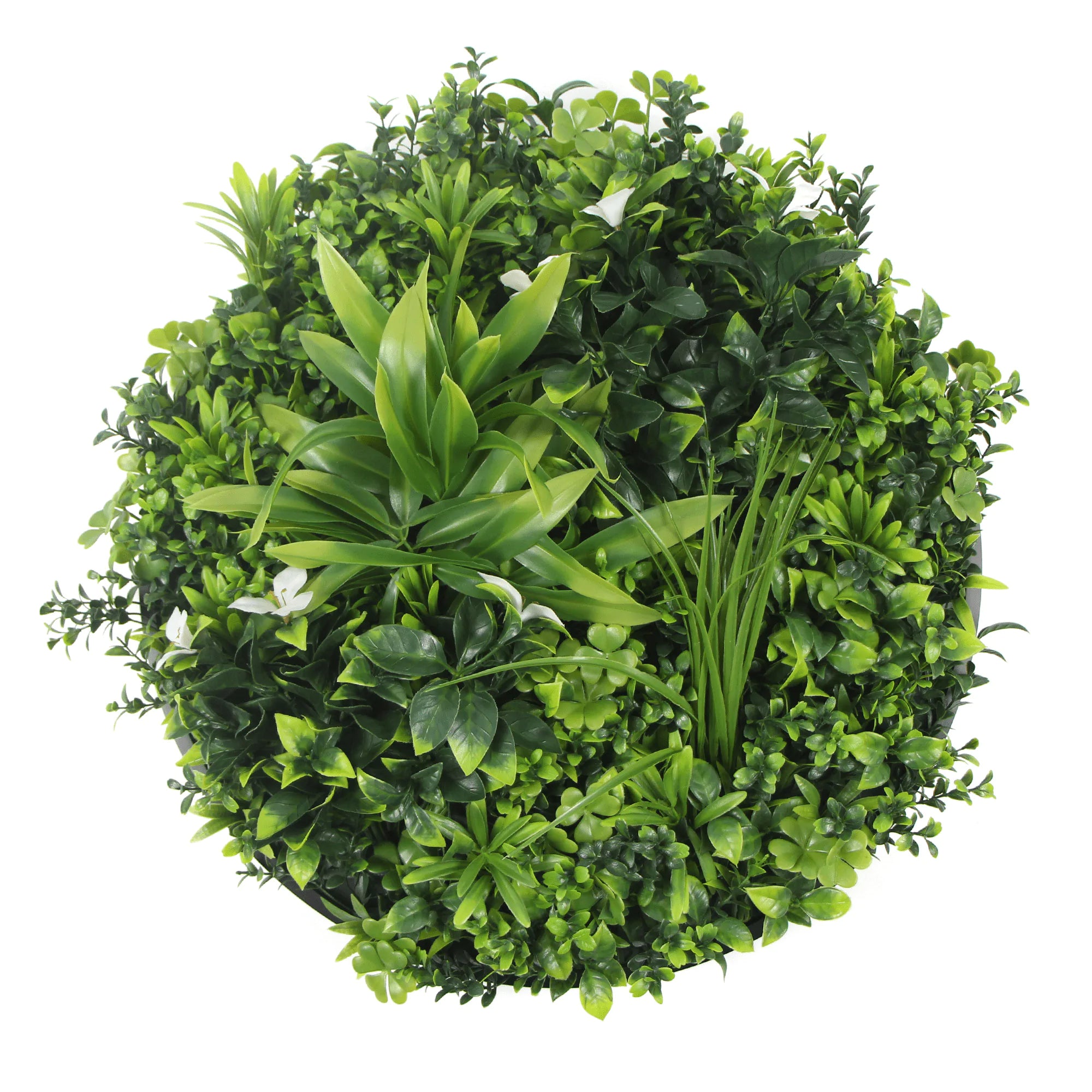 Artificial Green Wall Disc 30" Black Frame UV Resistant - Evallys.com # #