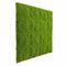 Faux Evergreen Moss Mat 33 SQ FT UV Resistant - Evallys.com