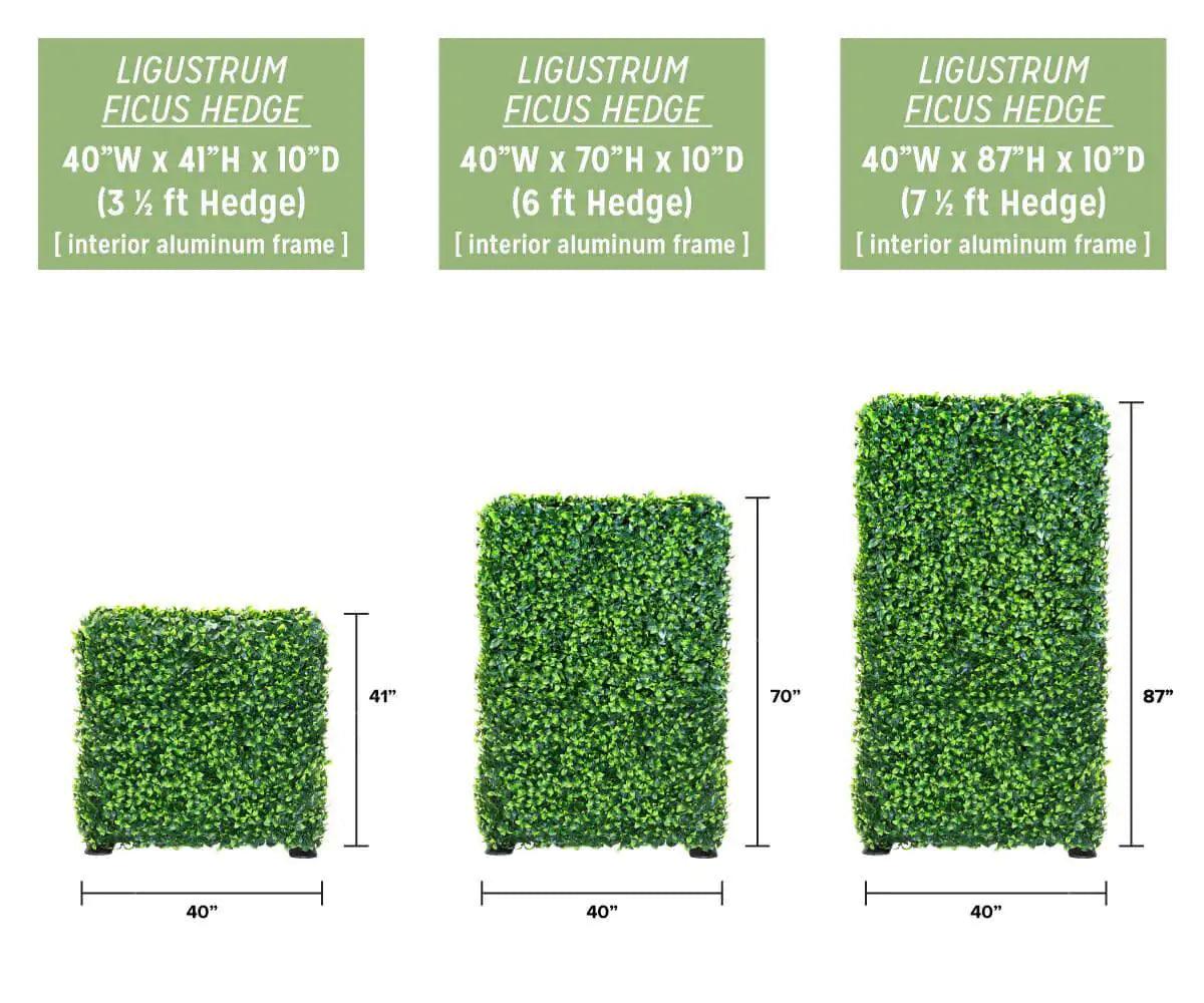 Artificial Ligustrum Ficus Freestanding Hedge (3 Sizes) UV Resistant - Evallys.com # #