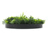 Artificial Green Wall Disc 30" Black Frame UV Resistant - Evallys.com # #