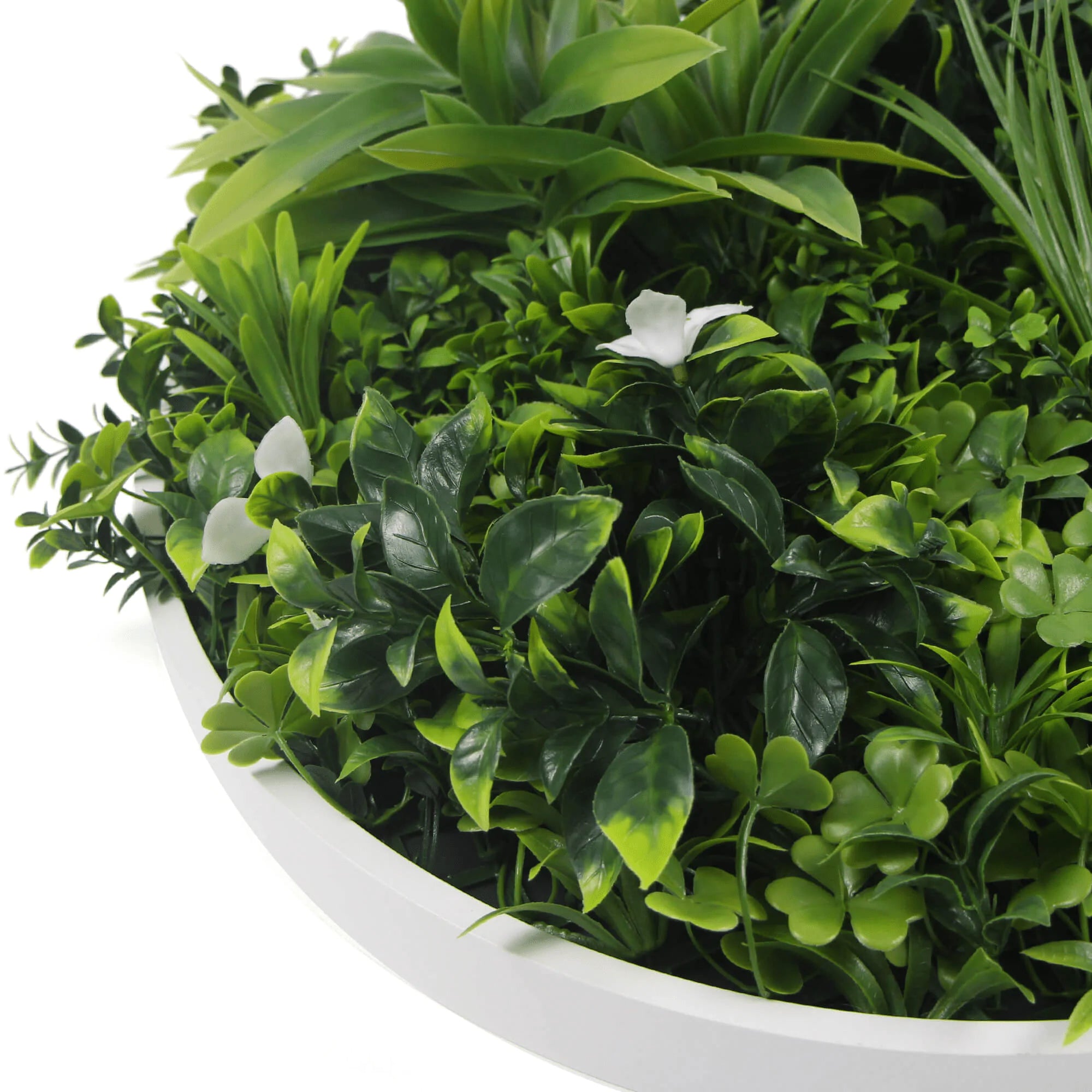 Artificial Green Wall Disc 20" White Frame UV Resistant - Evallys.com # #