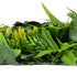 Artificial Rainforest Living Wall Garden 28SQ FT UV Resistant - Evallys.com # #