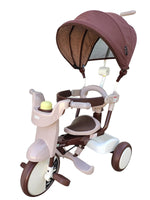 iimo 3-in-1 Foldable Tricycle with Canopy - Evallys.com