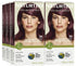 Naturtint Permanent Hair Color 5M Light Mahogany Chestnut (Pack of 6), Ammonia Free, Vegan, Cruelty Free, up to 100% Gray Coverage, Long Lasting Results - Evallys.com # #