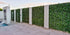 Artificial Boston Ivy Green Wall 33SQ FT UV Resistant - Evallys.com # #