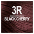 Naturtint 3R Black Cherry Permanent Hair Color (Pack of 1), Ammonia Free, Vegan, Cruelty Free, up to 100% Gray Coverage, Long Lasting Results (Packaging may vary) - Evallys.com # #