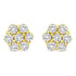 14K Yellow Gold 1/2 Cttw Round Brilliant Cut Diamond Floral Cluster Screwback Stud Earrings (I-J Color, SI2-I1 Clarity) - Evallys.com