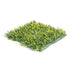 Yellow Buxus Green Wall 33 square foot UV Protected - Evallys.com # #