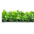 Artificial Myrtle Flower Mats 33 SQ FT UV Resistant - Evallys.com # #