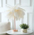 Remote Control Feather Table Lamp - Evallys.com # #