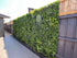 Artificial White Oasis Living Wall Garden 28SQ FT UV Resistant - Evallys.com # #